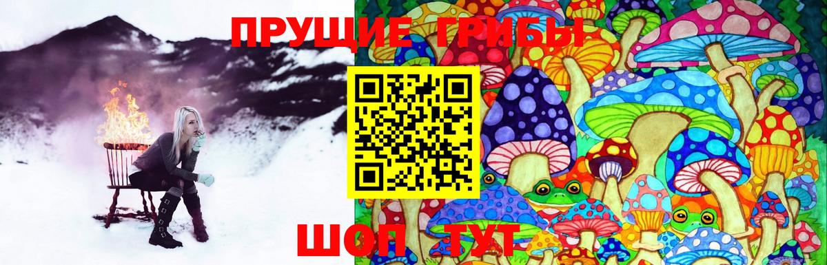 Кинешма  Галлюциногенные грибы Magic Shrooms  Вход с VPN 